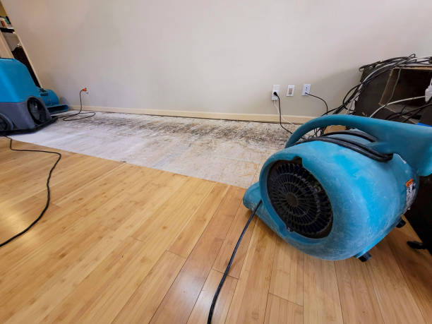 Professional Structural Drying technician working in Allendale, SC